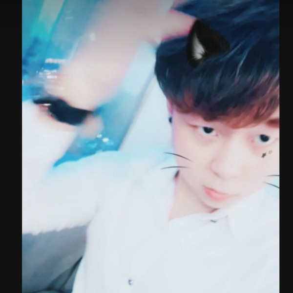 小傻瓜521的照片