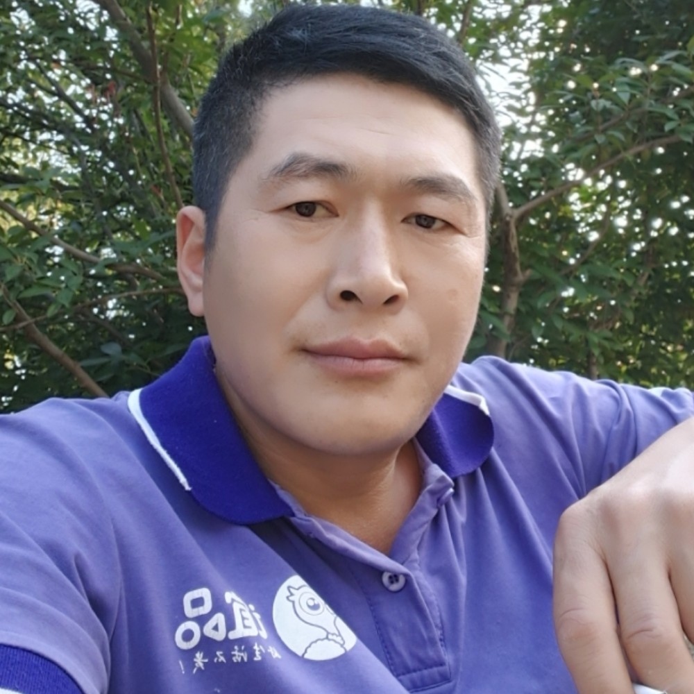 小天鹅浅吻心灵美的照片