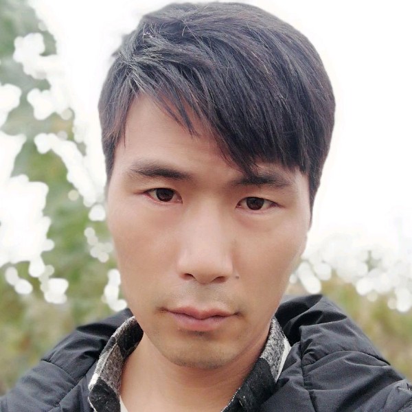 热狗有羞涩的照片