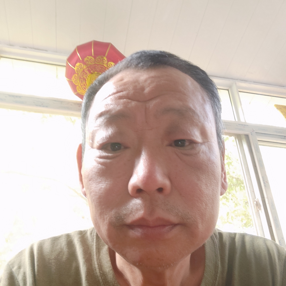 香菇还彩色.的照片
