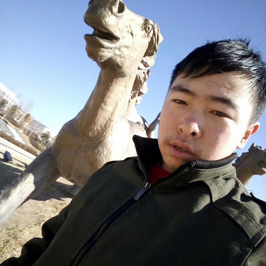 乌达木12的照片