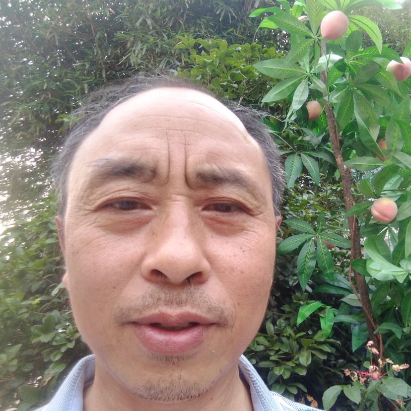 心相连心相印的照片