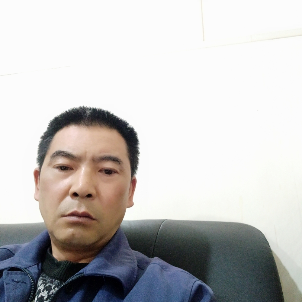 小刺猬有复杂的照片