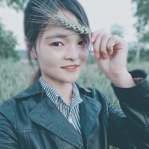 小巷的猫的照片