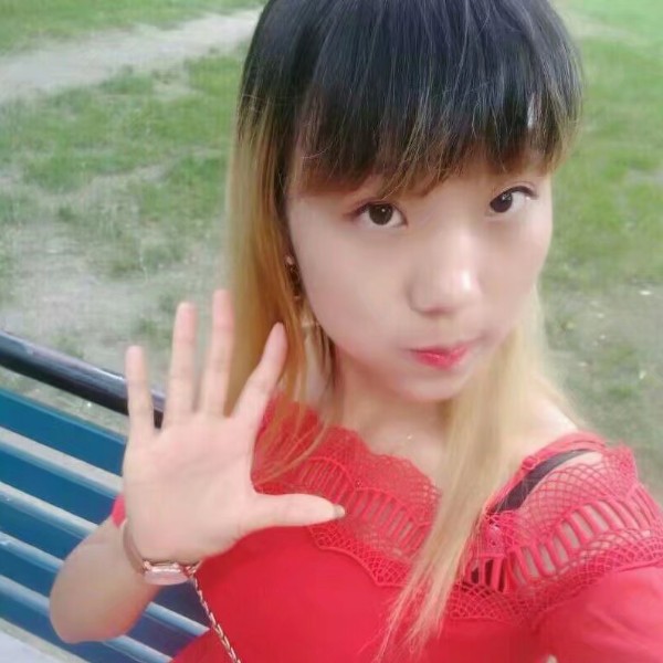 可爱的小哈宝的照片