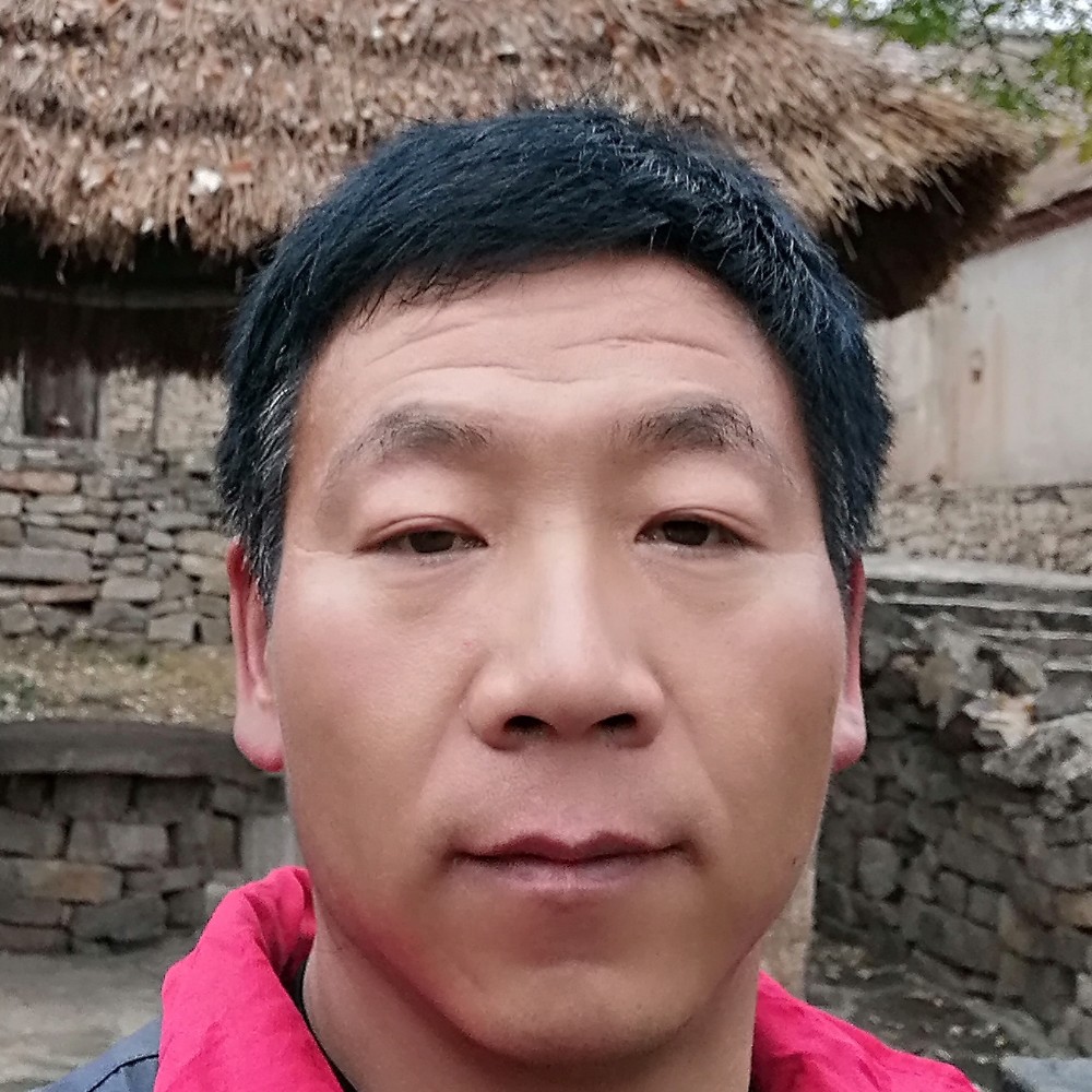 粗暴那母鸡的照片