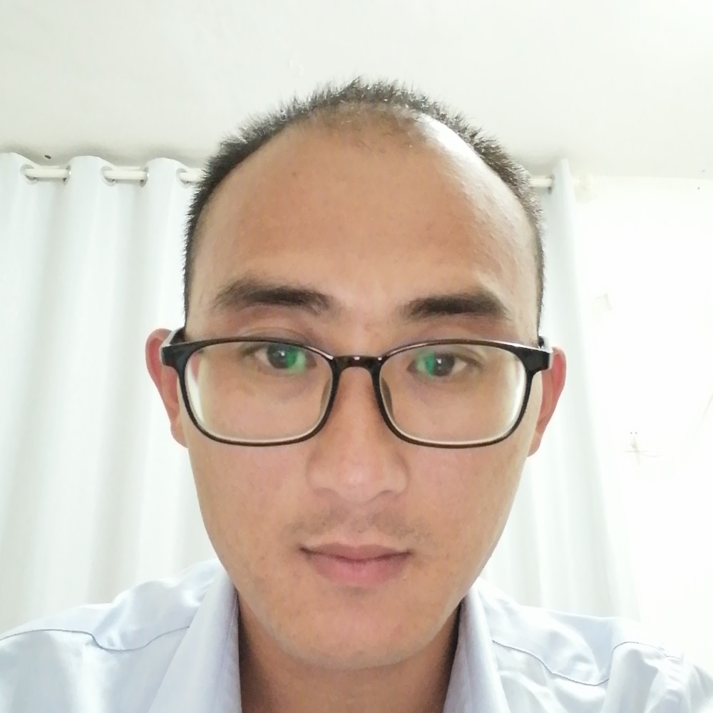 激昂方树叶的照片