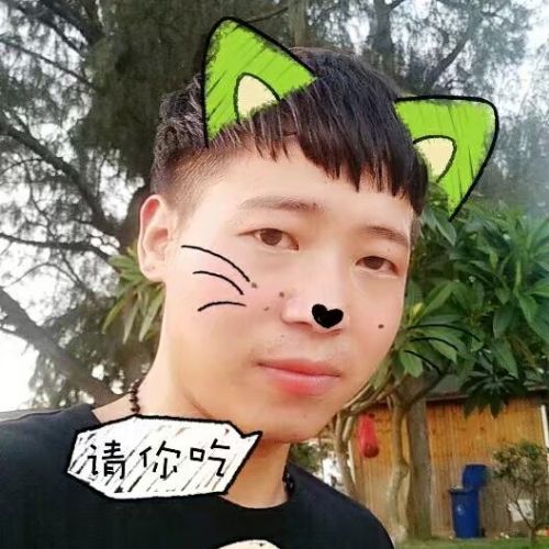 我的缪斯的照片