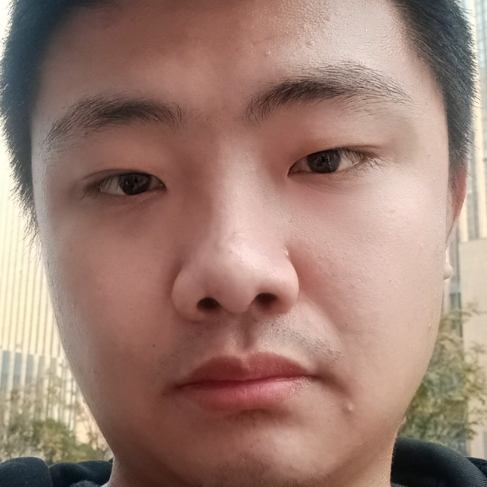 不解的漫步鸵鸟的照片