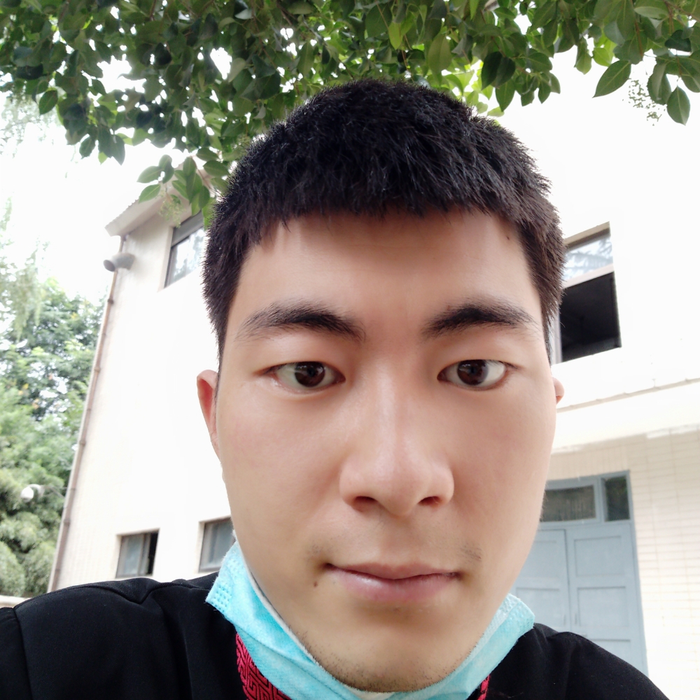晚上活动的照片