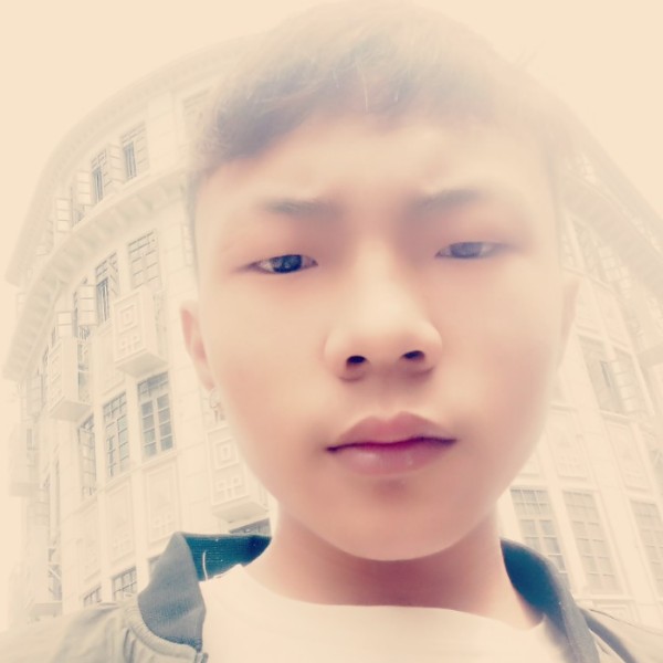 陶醉康乃馨的照片
