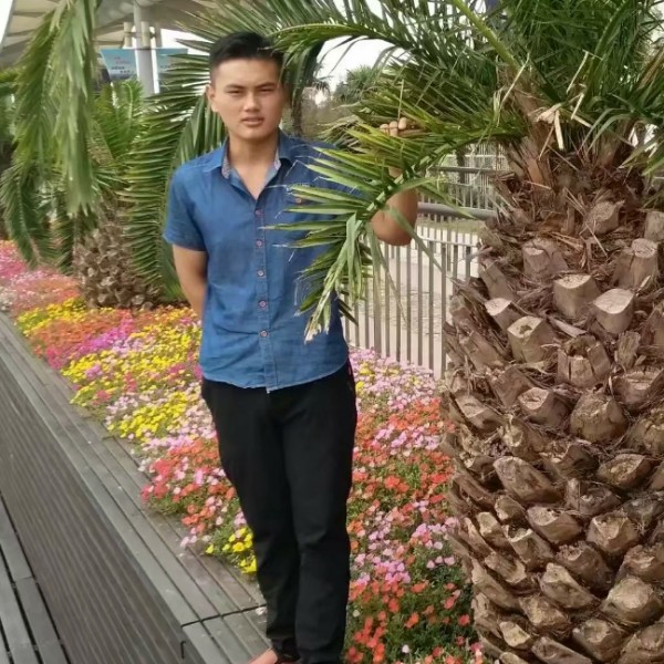 无限火车的照片