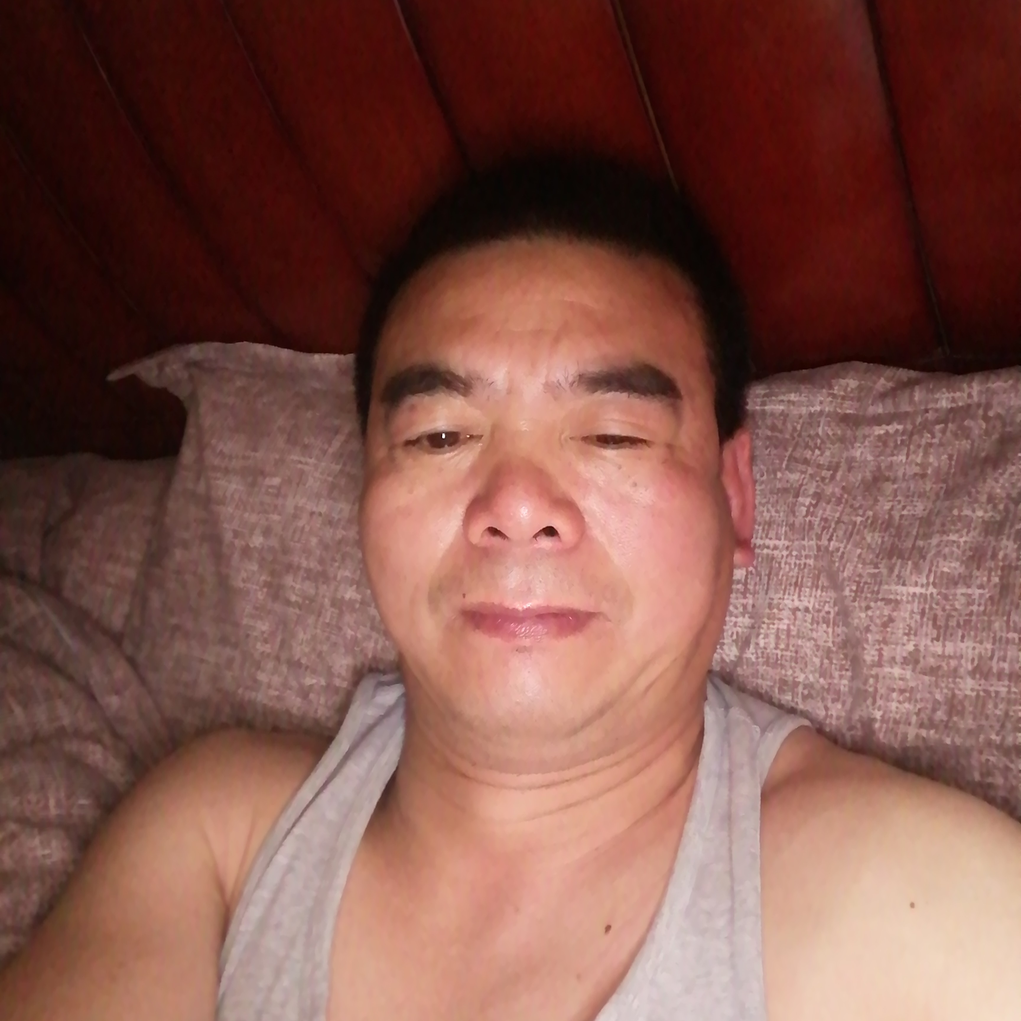 小海豚爱恋懦弱的照片
