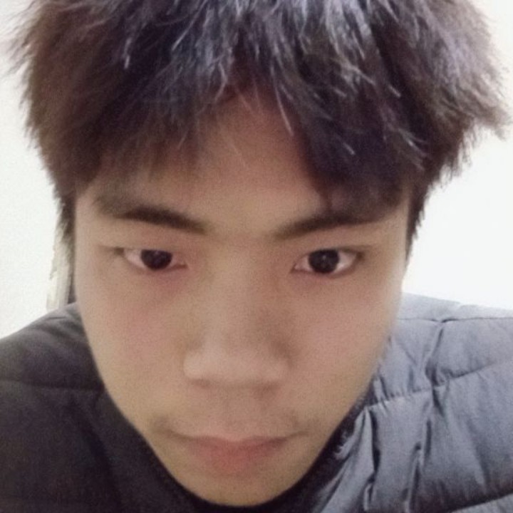 英勇改变海燕的照片