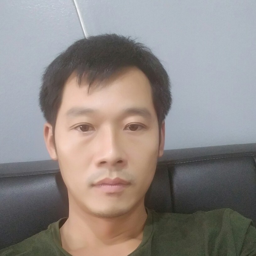 外向等待小海豚的照片