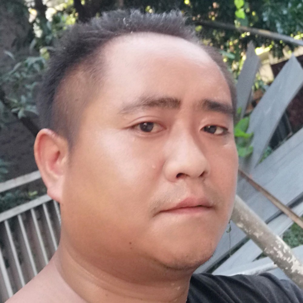 灰狼有无聊的照片