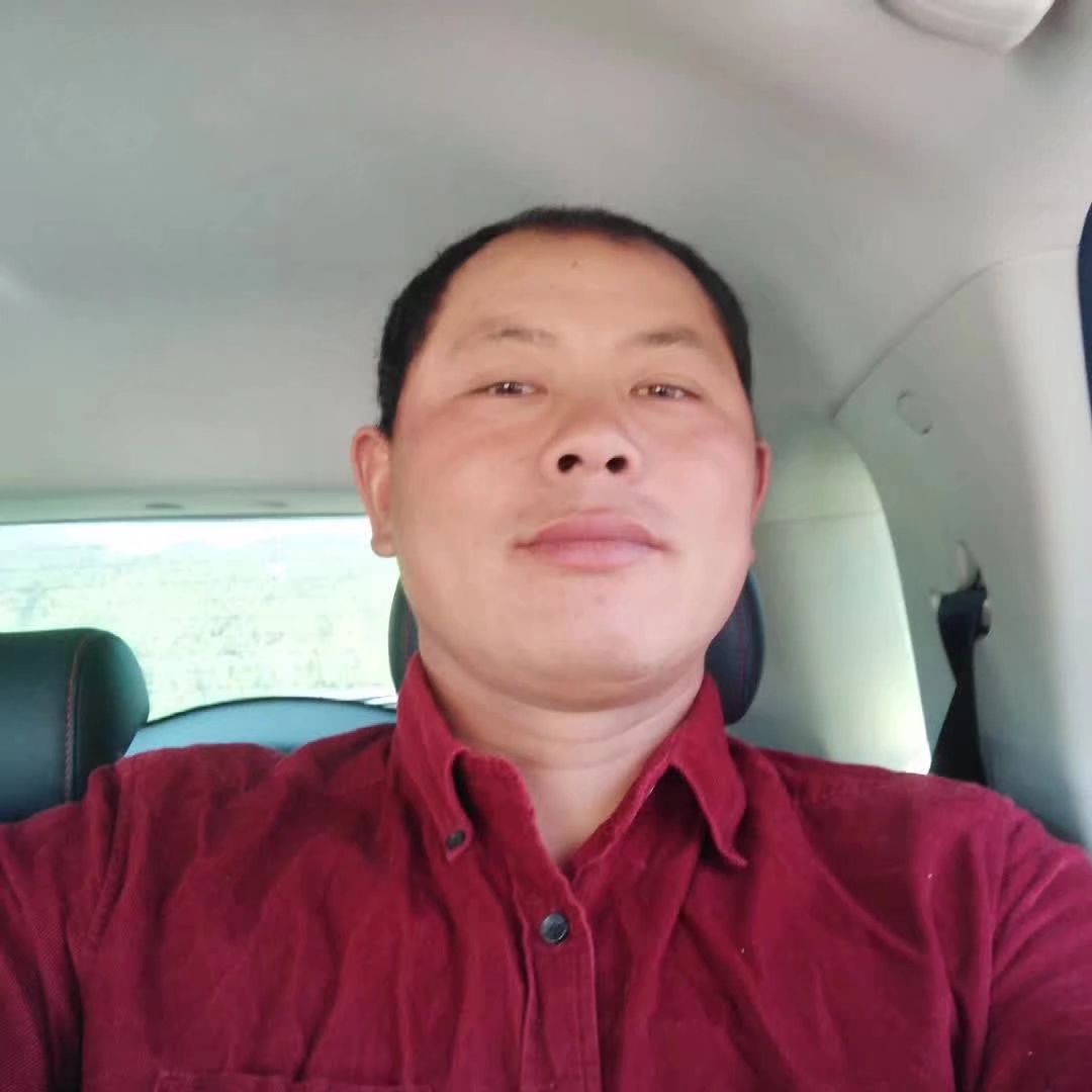 无情的冬天的照片