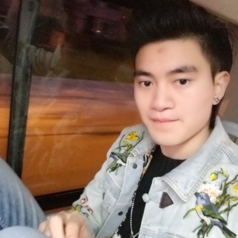 骆驼的照片