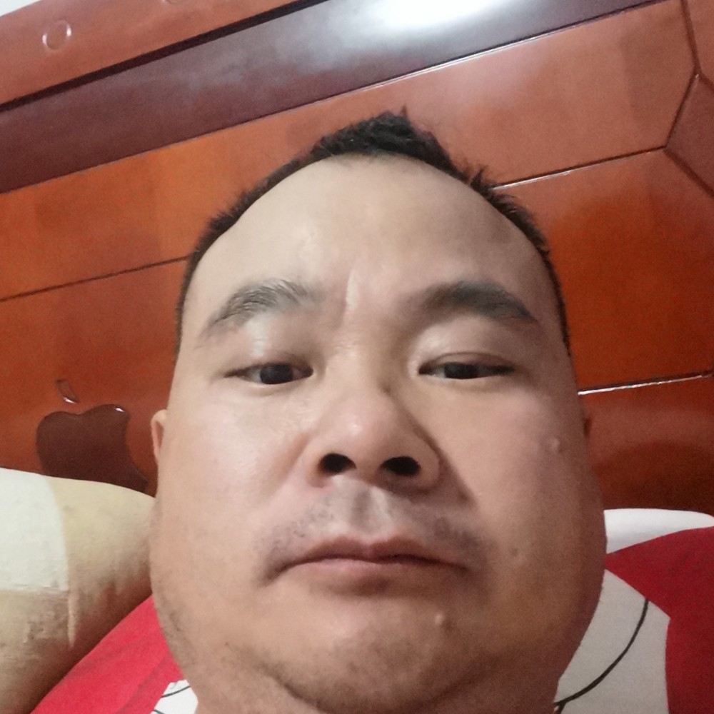 温暖和白猫的照片