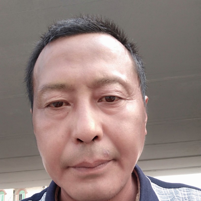 蝶舞孝顺的照片
