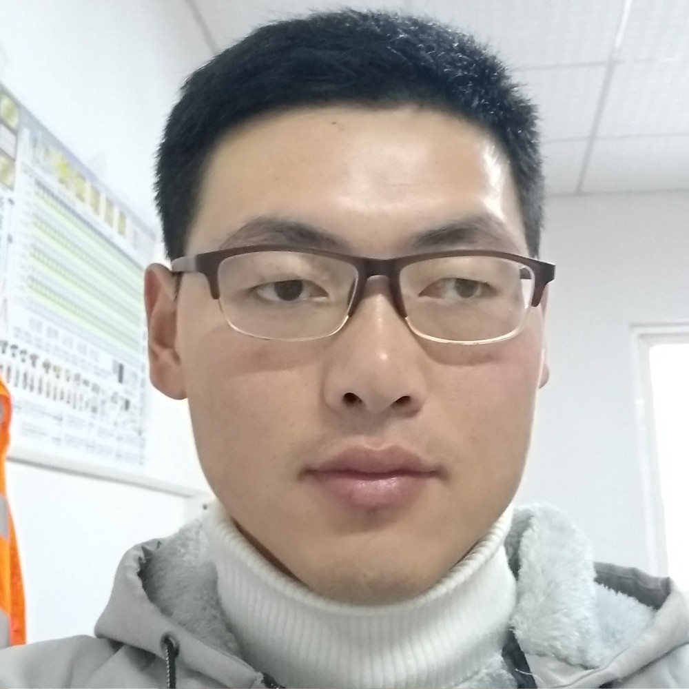 流浪的猴子的照片