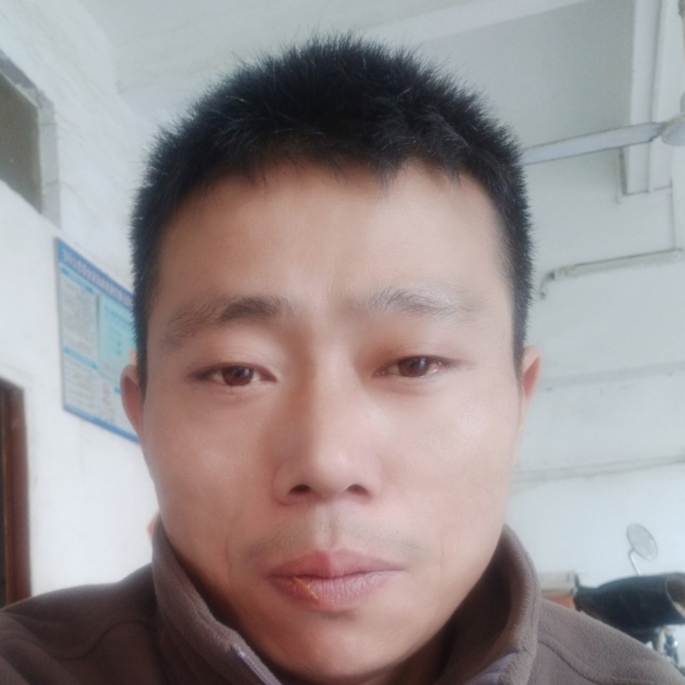 健壮大碗的照片