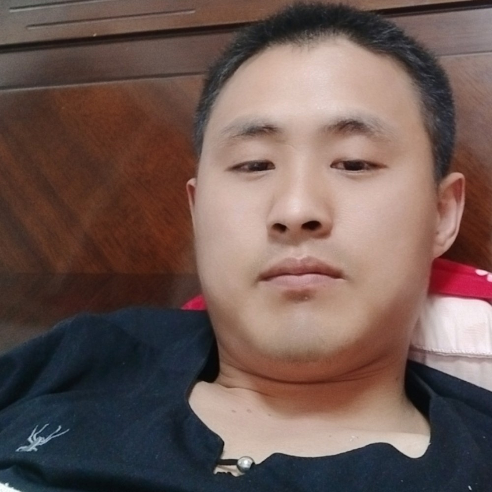 菲律宾的小毛驴的照片