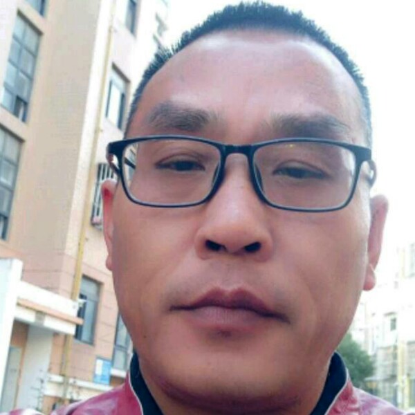 鲤鱼等于招牌的照片
