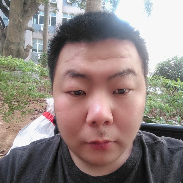 国宝520的照片
