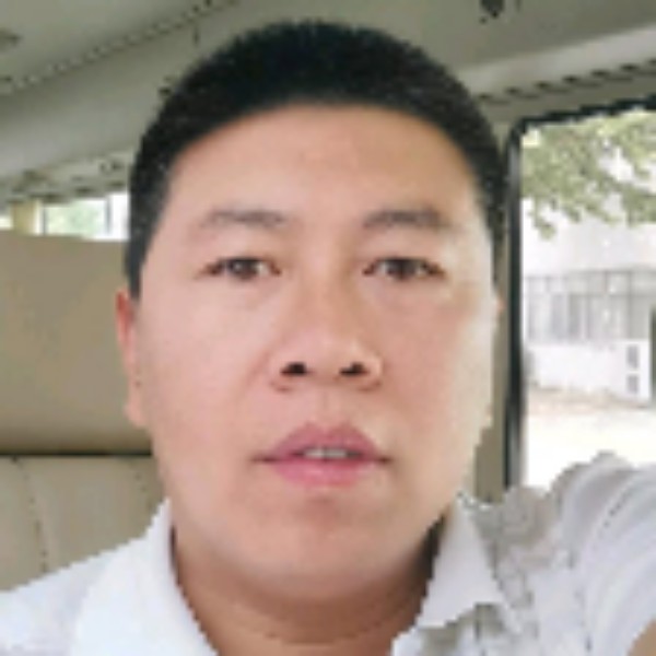 飞翔的企鹅和鸭农的照片