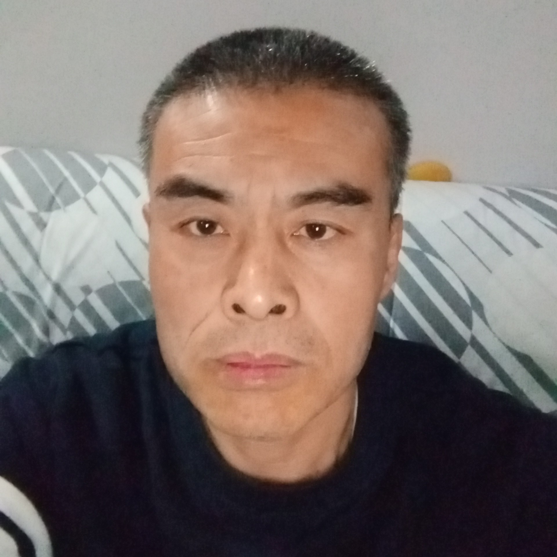 奇异果那绵密的照片