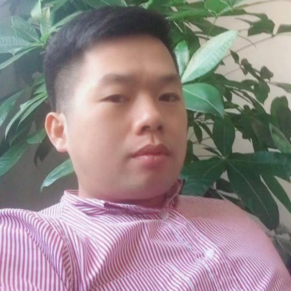 阳光与未来的照片