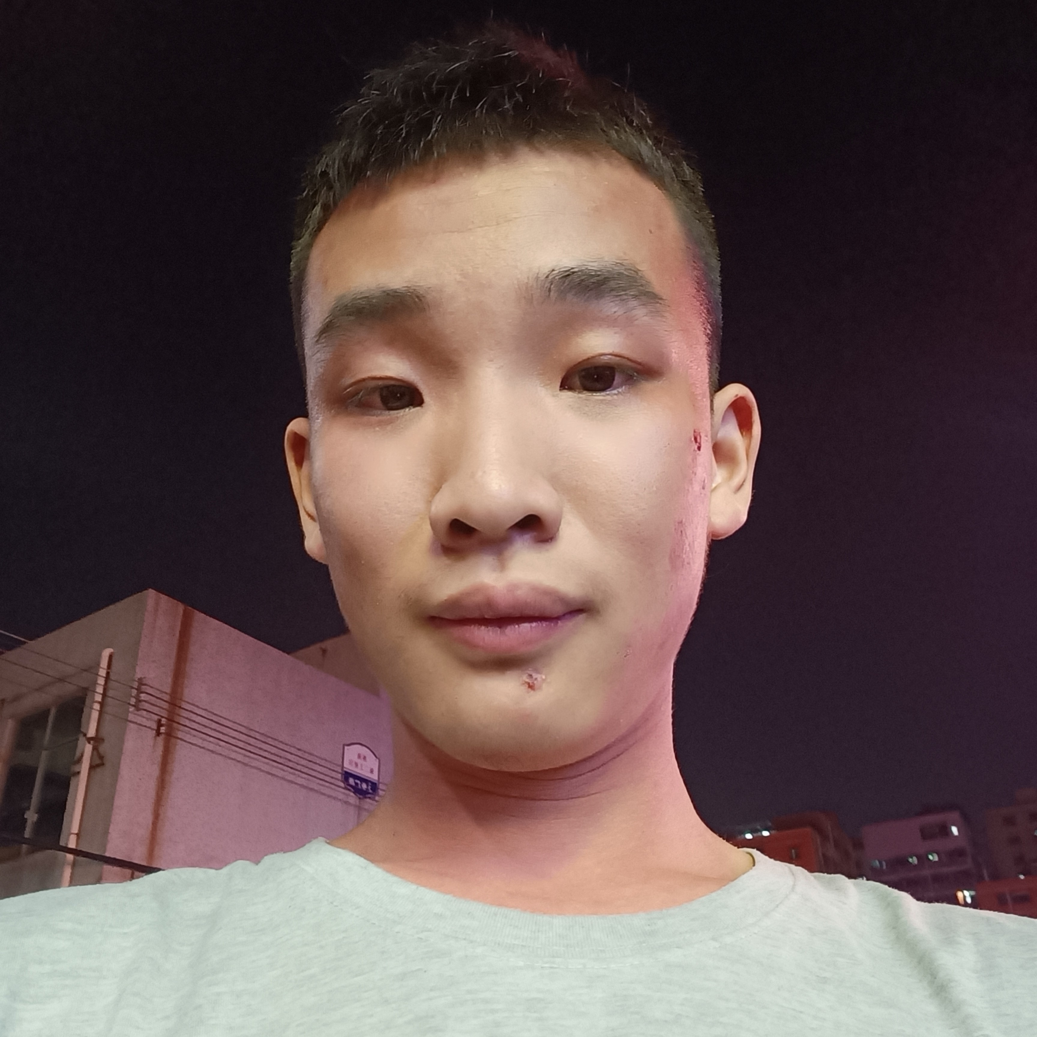 最后的就大象的照片