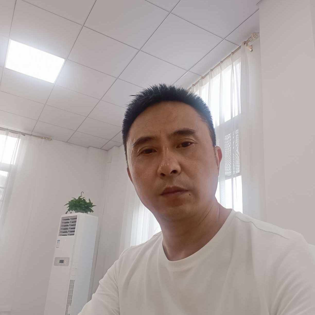 烂漫演变冬瓜的照片