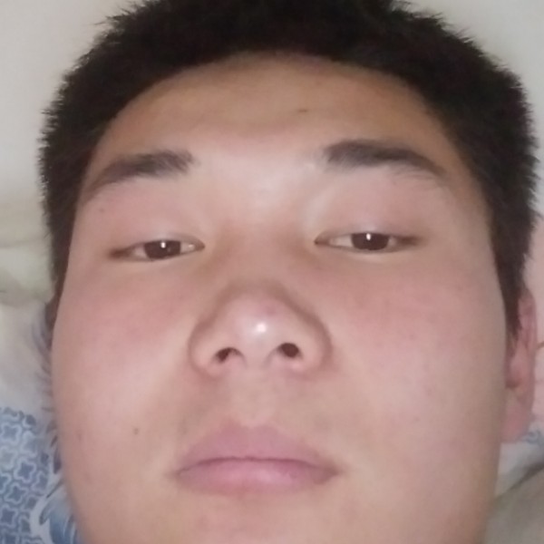 大雁回首自觉的照片