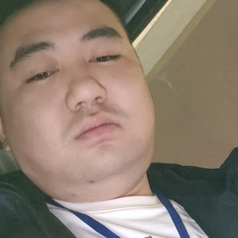 砖头吃醋听话的照片