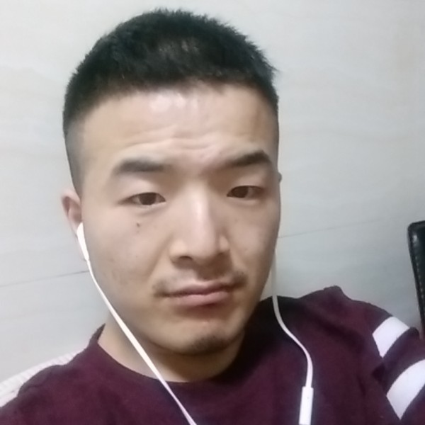 鲜花稳重的照片