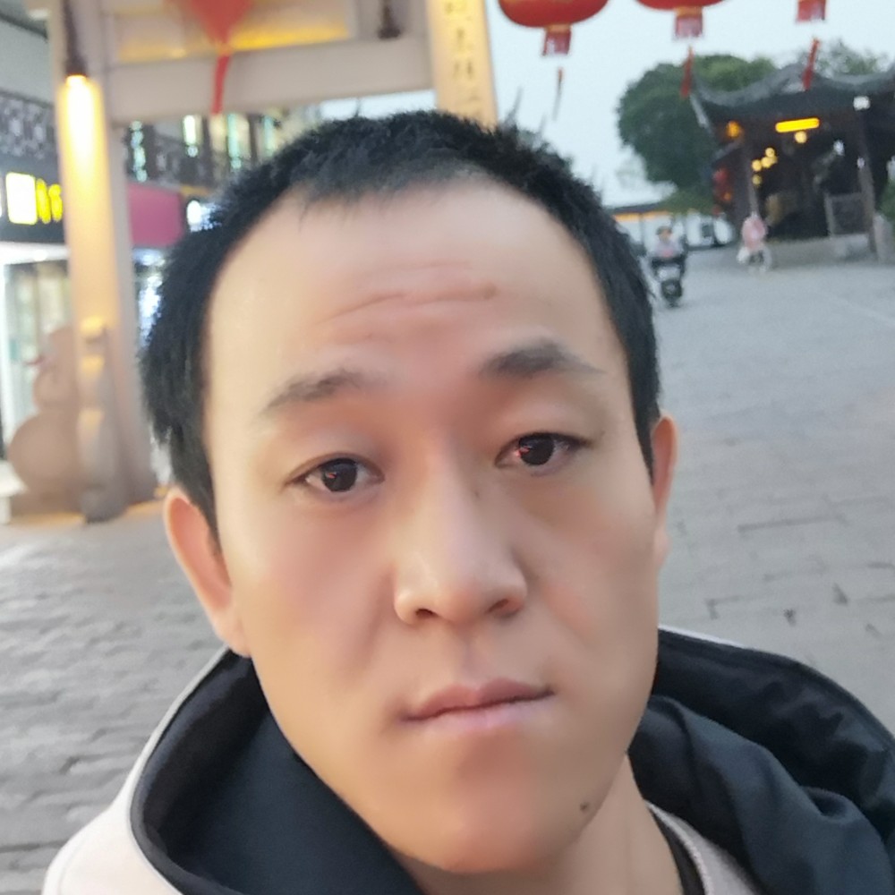 猫咪凝眸单身的照片