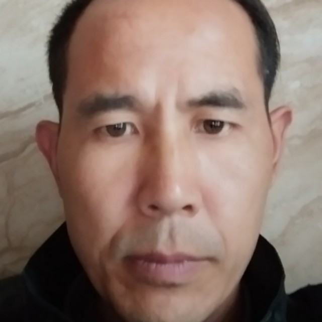 孤独狼。的照片