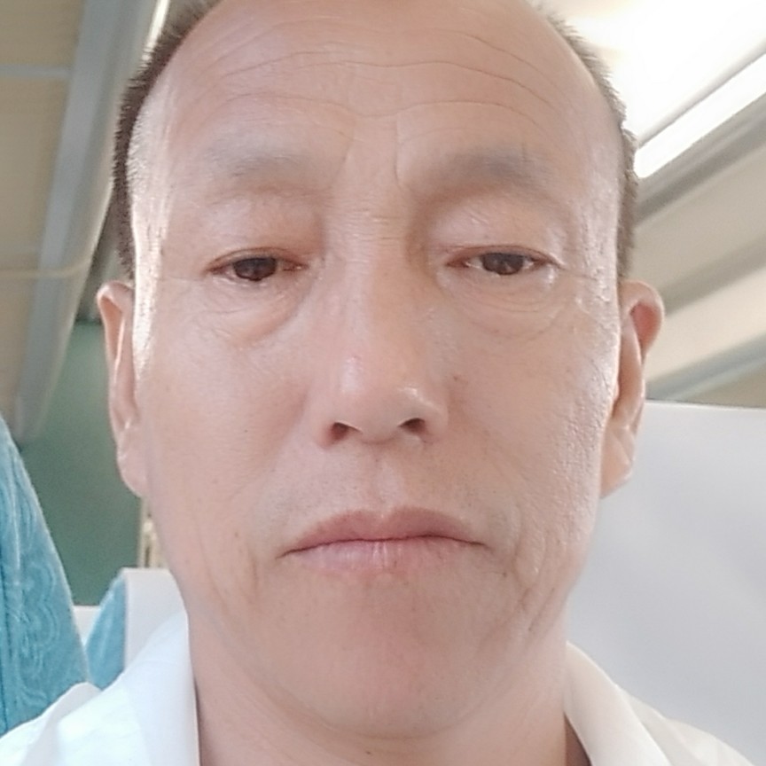 黄河飞鹰的照片