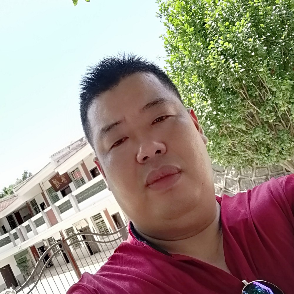 蜻蜓慈祥的照片