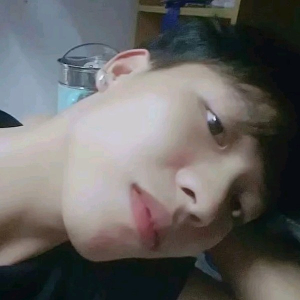 清晨曦光的照片