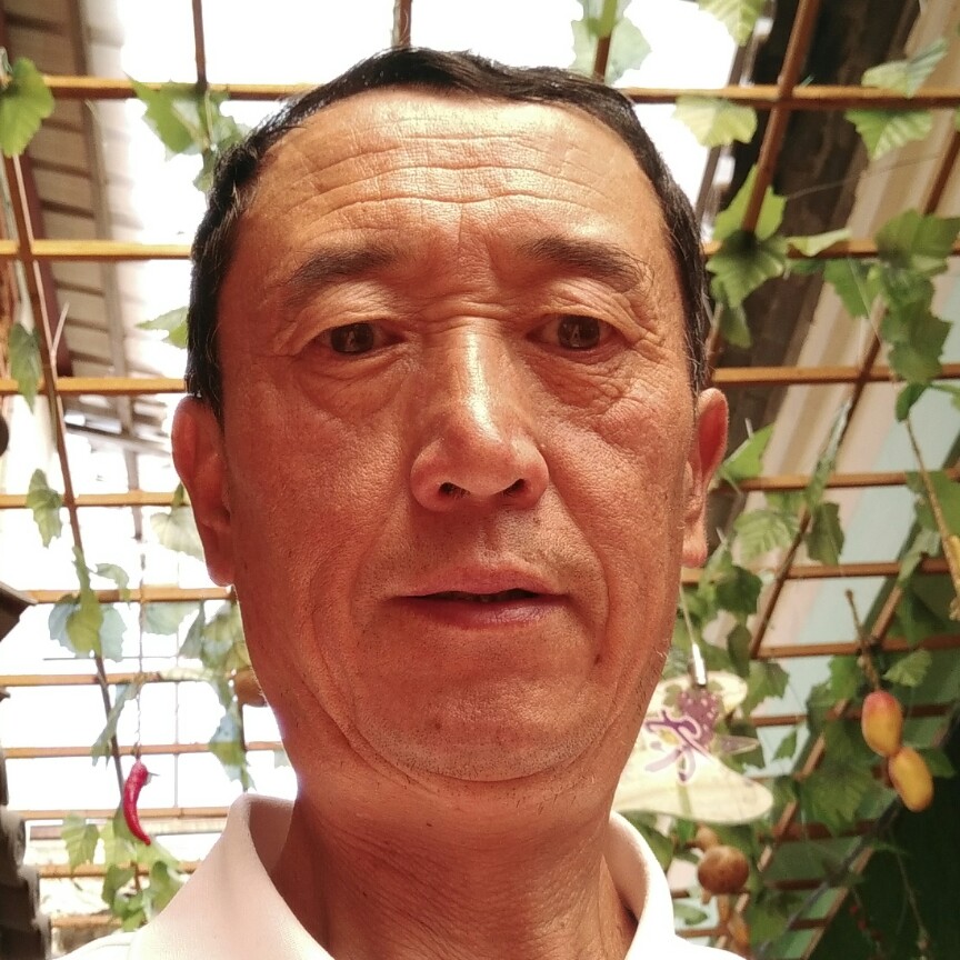 心劫稳重的照片