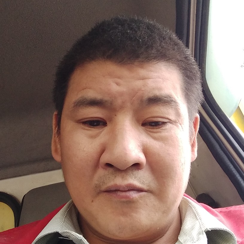 金鱼缓慢的照片