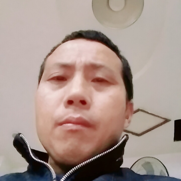 白菜黄三的照片