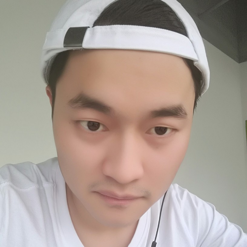 迷路的蝙蝠的照片