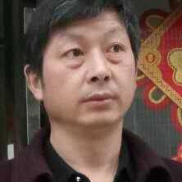 失眠浅吻向日葵的照片