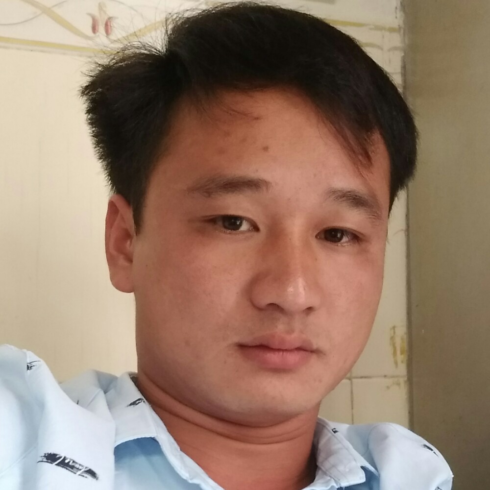 黑夜的狼的照片