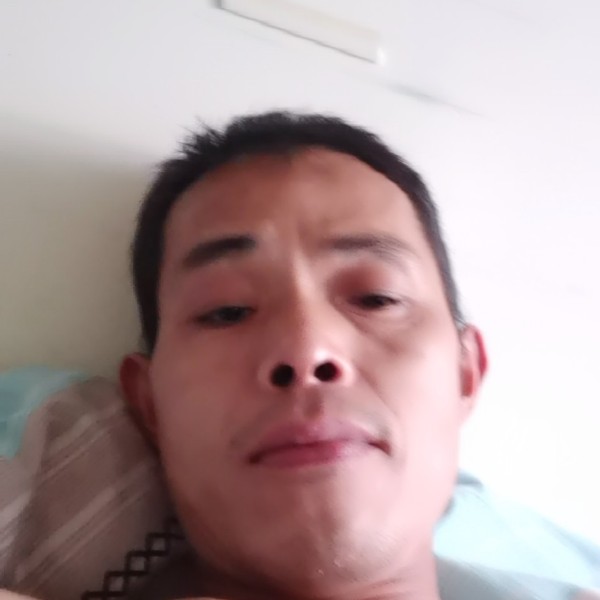 寂寞的蚂蚁的照片
