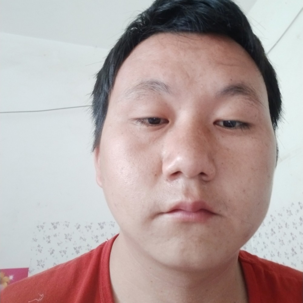 自由改变黄蜂的照片